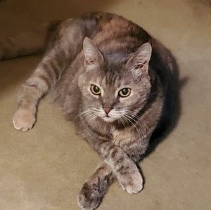 Meet your Posher, Jeanette